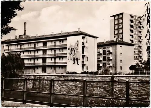 Pforzheim Die neue Au am Hochhaus Foto Ansichtskarte  1958