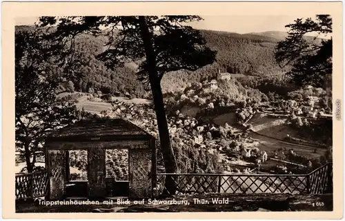 Schwarzburg Trippsteinhäuschen mit Blick auf Schwarzburg 1958