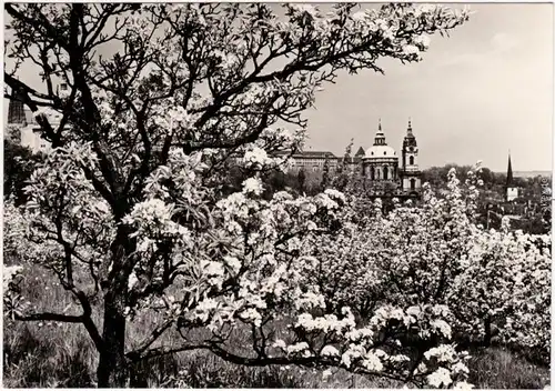 Prag Praha Baublüte - Blick auf die Stadt  Foto Anichtskarte 1965