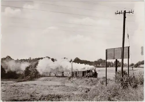 Friedewald Moritzburg Traditionabahn Radebeul Ost - vor Bahnhof riedewald 1978