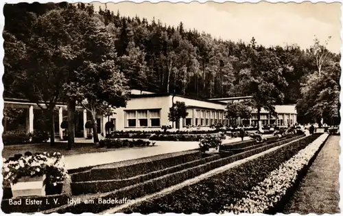 Bad Elster Idyll am Badekaffee Vogtland  Foto Ansichtskarte  1957