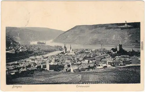 Bingen am Rhein Partie an der Stadt Ansichtskarte  1907