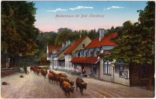 Bad Harzburg Rinder, Molkenhaus Ansichtskarte Harz  1915