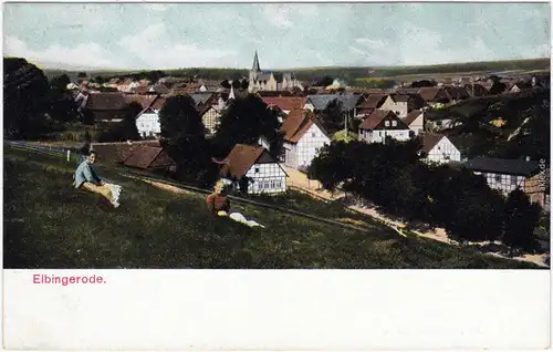 Elbingerode Partie an der Stadt Ansichtskarte Harz b Halberstadt  1908