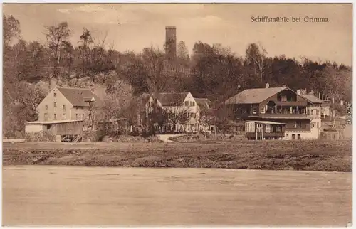 Grimma Panorama Schiffsmühle Ansichtskarte 1913