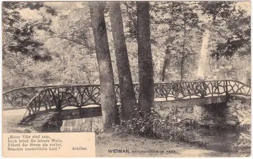 Ansichtskarte  Weimar Naturbrücke im Park mit Schillerspruch 1909