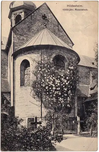 Ansichtskarte Hildesheim Dom 1000 jähriger Rosenstock 1913