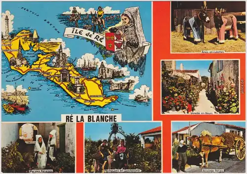 Ansichtskarte La Couarde-sur-Mer Île de Ré / Ré La Blanche 1980