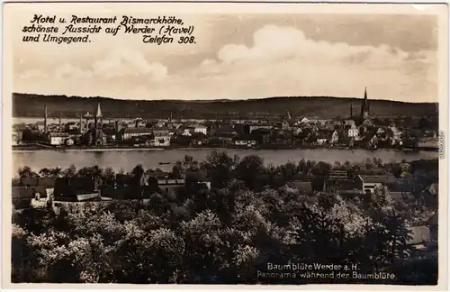 Werder (Havel) Hotel Bismarckhöhe Foto Ansichtskarte b Potsdam 1933