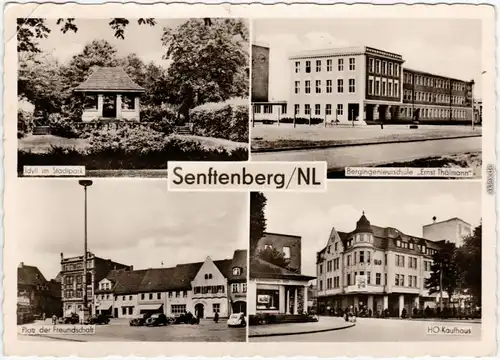 Senftenberg (Niederlausitz) Stadtpark, Bergingenieurschule, HO-Kaufhaus, 1958