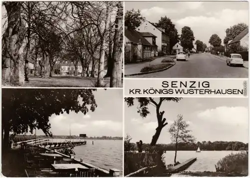 Foto Ansichtskarte Senzig Königs Wusterhausen Straße, See 1974