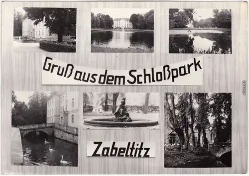 Zabeltitz Großenhain Schloßpark Foto Ansichtskarte  1971