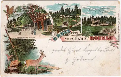 Rohnau Reichenau in Sachsen Trzciniec Bogatynia Litho Forsthaus b Zittau  1903