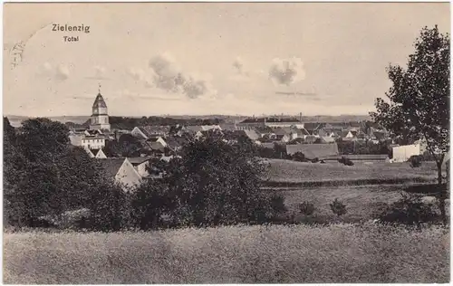 Ansichtskarte Zielenzig (Neumark) Sulęcin Partie an der Stadt 1913