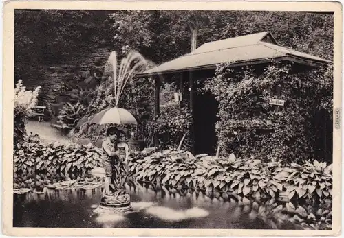 Aussig Ústí nad Labem  Ansichtskarte  Partie beim Weiher, Lumpepark 1935