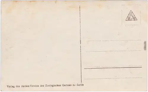 Fotokarte Berlin Zoologischer Garten Elefantenportal und Verwaltungsgebäude 1928