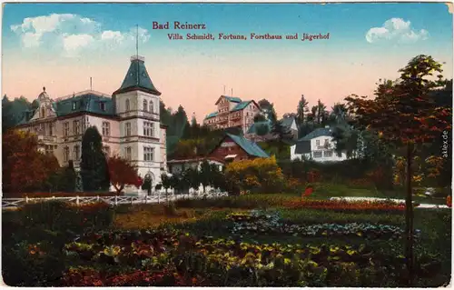 Bad Reinerz  Duszniki-Zdrój Villa Schmidt, Fortuna, Forsthaus und Jägerhof 1914