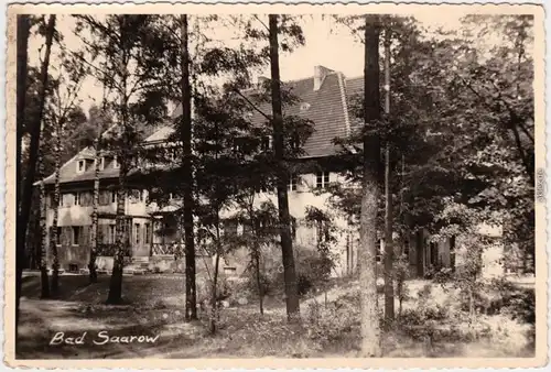 Bad Saarow Partie am Kurhaus im Wald Ansichtskarte 1959