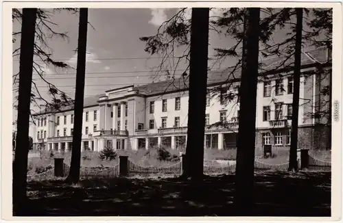 Antonshöhe Breitenbrunn (Erzgebirge) Blick durch die Bäume auf  Sanatorium 1955