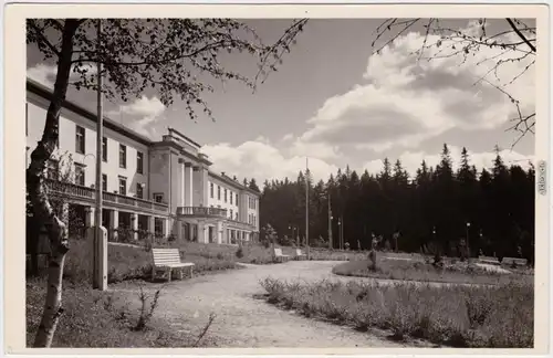 Antonshöhe-Breitenbrunn (Erzgebirge) Kneipp-Sanatorium, Parkbänke 1955