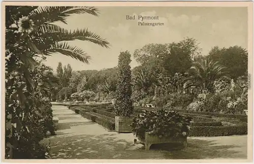 Ansichtskarte Bad Pyrmont Palmengarten 1918