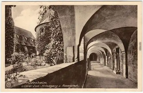 Ansichtskarte  Hildesheim unterer Dom - Kreuzgang und Rosenstock 1930