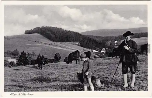 Altenau Bergstadt Kuhweide mit Kind Schäferhund Tracht 1941