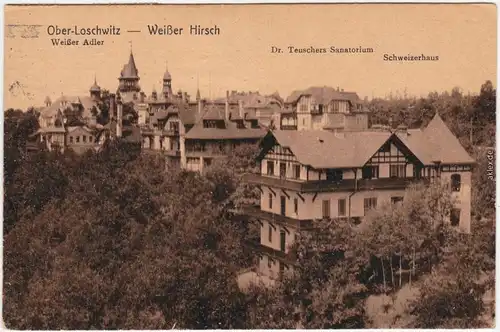 Loschwitz Dresden Weißer Adler, Teuschers sanatorium und Schweizerhaus 1922