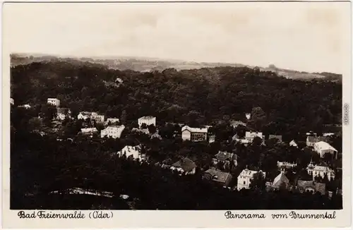 Ansichtskarte Bad Freienwalde Panorama vom Brunnental 1937
