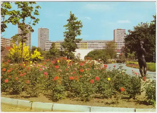 Foto Ansichtskarte  Frankfurt (Oder) Botanischer Garten 1983