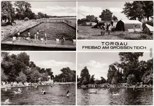 Foto Ansichtskarte Torgau Freibad am Großen Teich 1987