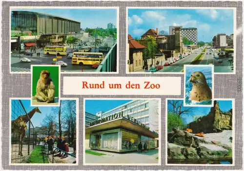 Foto Ansichtskarte Mitte Berlin Rund um den Zoo 1974