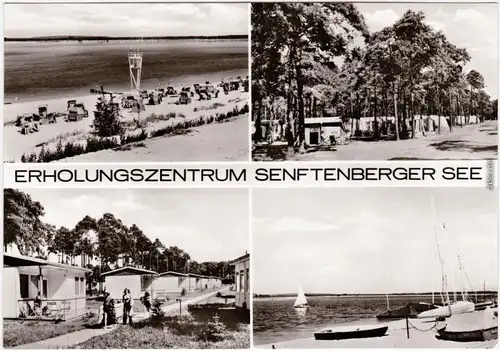 Senftenberg (Niederlausitz)   Senftenberger See Foto Ansichtskarte  1980