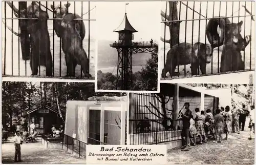 Bad Schandau Bärenzwinger  Aufzug nach Ostrau mit Bummi und Kullerchen 1972
