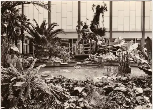 Foto Ansichtskarte Mitte Berlin Tierpark - Tropenhallle, Alfred Brehm Haus 1966