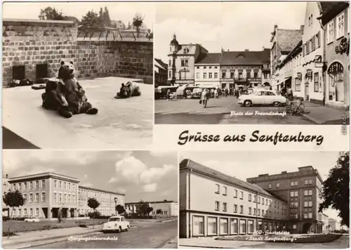Senftenberg (Niederlausitz) 4 Bil: Tierpark, FH, HO-Gaststätte und Markt 1967