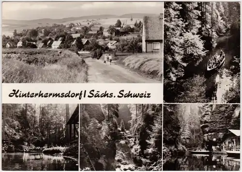 Foto Ansichtskarte Hinterhermsdorf Sebnitz Dorfansicht, Fluss, belebt 1970