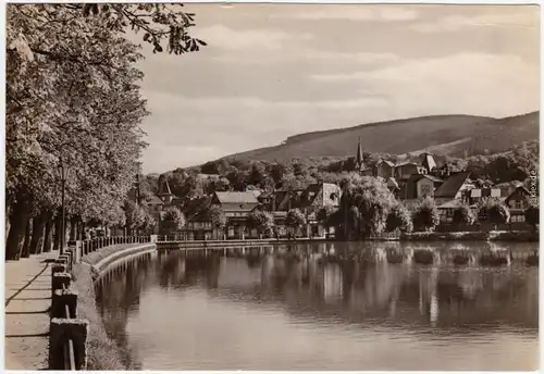 Foto Ansichtskarte Ilsenburg (Harz) Am Forellenteich, Stadtblick 1970