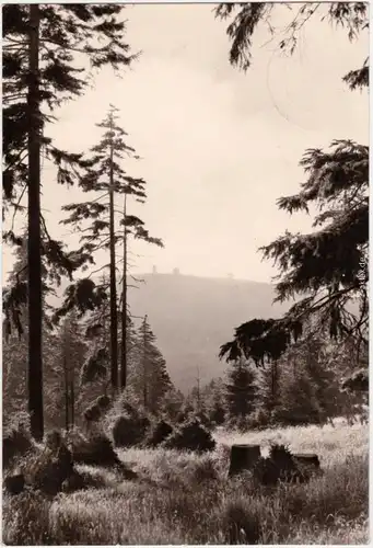 Foto Ansichtskarte Ilsenburg (Harz) Brockenblick 1975