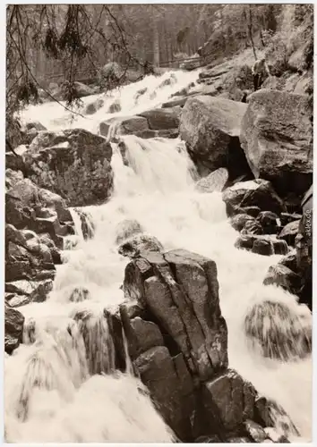 Wernigerode Fluss, Talabschnitt "Steinerne Renne"  Foto Anichtskarte 1971