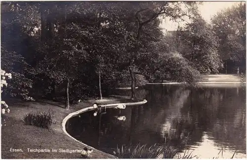 Foto Ansichtskarte Essen (Ruhr) Teichpartie im Stadtgarten 1929
