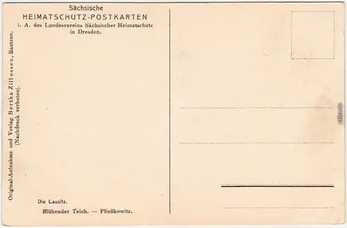 Pließkowitz Malschwitz Malešecy Partie am Teich Oberlausitz b Bautzen 1926