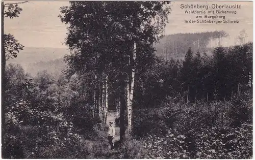 Schönberg (Oberlausitz) Sulików  Birkenweg - Jäger Zgorzelec Görlitz  1914