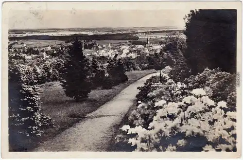 Fotokarte Kamenz Kamjenc Stadt - Hutberg mit Azaleen-Anlagen 1931
