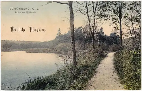 Schönberg (Oberlausitz) Sulików Partie am Mühlteich b  Zgorzelec Görlitz 1908