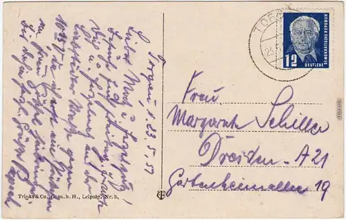 Torgau Partie am Schloß (Westseite) Ansichtskarte  1918