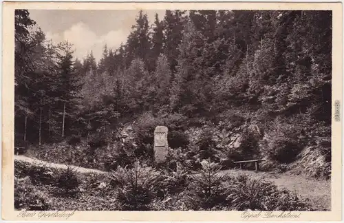 Bad Oppelsdorf Opolno Zdrój Partie am Oppelgedenkstein b Reichenau Zittau  1937