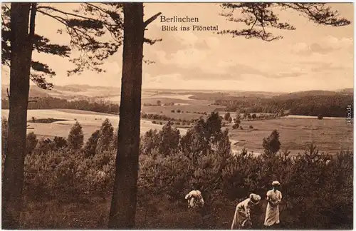 Berlinchen Barlinek Frauen - Blick ins Plönetal Soldin Neudamm 1913