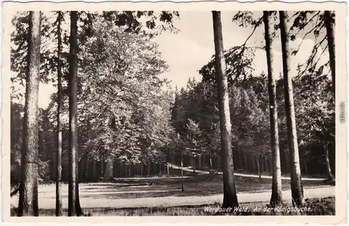 Ansichtskarte Greiz Werdauer Wald, An der Königsbuche 1938