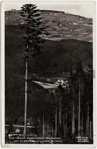 Brundöbra Sachsenberg Georgenthal-Klingenthal Blick in das Tal 1930